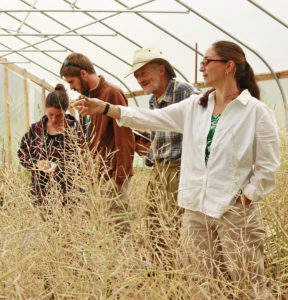 jodi-leading-seed-production-hoophouse-tour